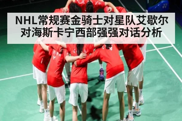 NHL常规赛金骑士对星队艾歇尔对海斯卡宁西部强强对话分析